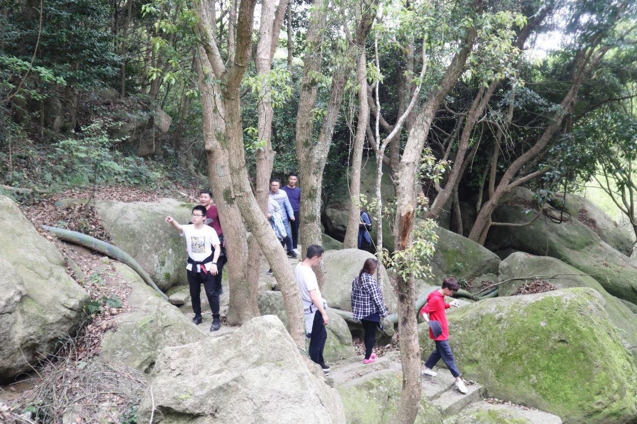 聚力啟航 筑夢未來 | 寶開成功舉辦2019團隊拓展旅游活動